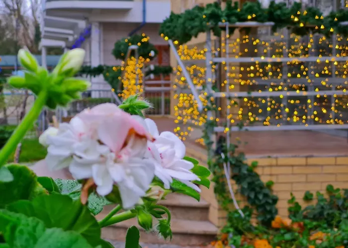 Daire Visit Baltic - Nautilius